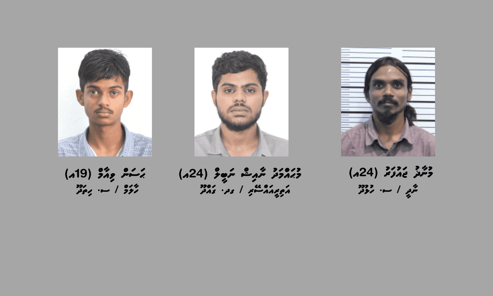 ސޯޝަލް މީޑިއާ އެކައުންޓްތައް ކޮމްޕްރޮމައިޒްކޮށް ކުންފުންޏެއްގެ އެކައުންޓުން ފައިސާ ނެގި މައްސަލާގައި އިތުރު ބަޔަކު ހައްޔަރުކޮށްފި