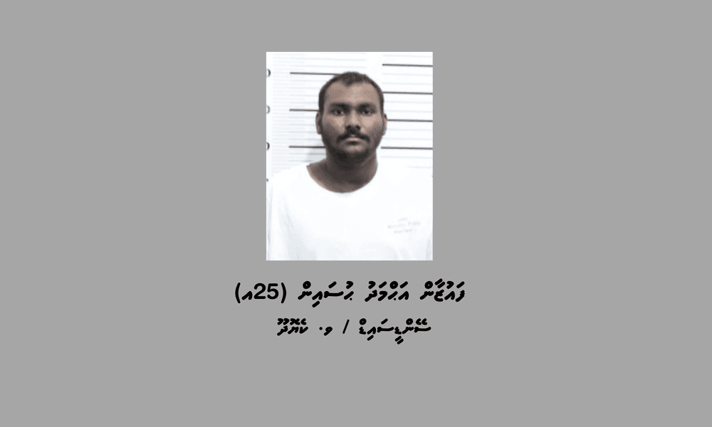 ކިލޯއަކަށްވުރެ ގިނަ މަސްތުވާތަކެތި ރާއްޖެ އެތެރެކުރިކަމުގެ ތުހުމަތުގައި މީހަކު ހައްޔަރުކޮށްފި