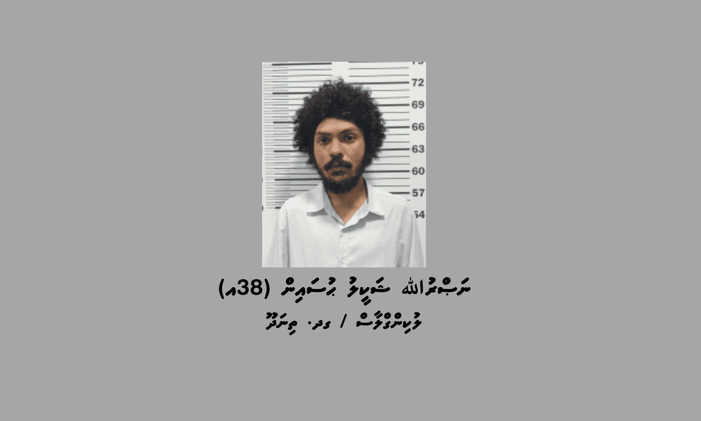 ވިނަރެސް ފުލެޓު ކަރަންޓު ފޮށިތަކަށް ގެއްލުންދީން ކަމުގެ ތުހުމަތުގައި މީހަކު ހައްޔަރުކޮށްފި