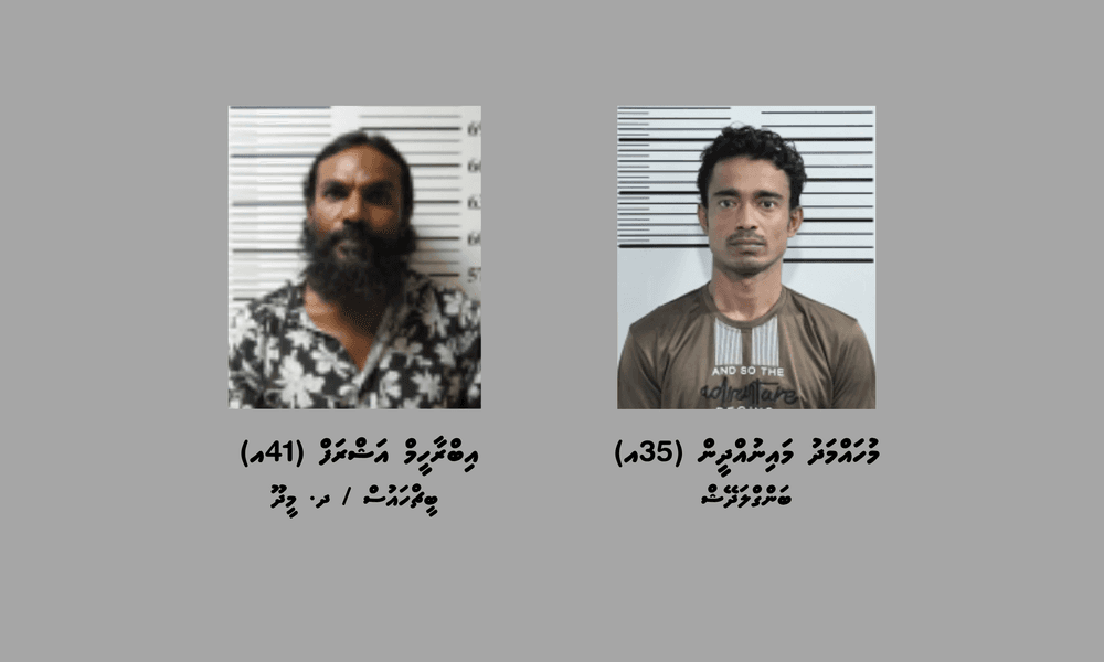 ދެރަށަކަށް މަސްތުވާތަކެތި އެތެރެކުރަން އުޅުނުކަމުގެ ތުހުމަތުގައި ދެމީހަކު ހައްޔަރުކޮށްފި
