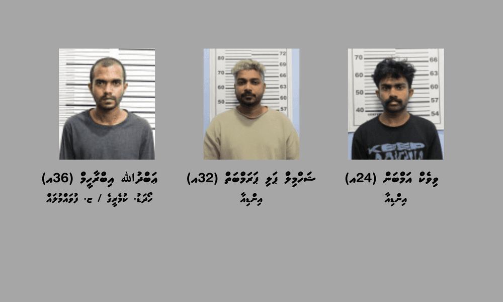 ވައިގެމަގުން ރާއްޖެއަށް ތިންކިލޯ އަށްވުރެ ގިނަ މަސްތުވާތަކެތި އެތެރެކުރިކަމުގެ ތުހުމަތުގައި ތިން މީހުން ހައްޔަރުކޮށްފި