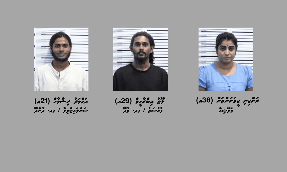 ދެ ކިލޯއަށްވުރެ ގިނަ މަސްތުވާތަކެތި ވައިގެ މަގުން ރާއްޖެއަށް އެތެރެކުރަން އުޅުނު ތިން މީހުން ހައްޔަރުކޮށްފި