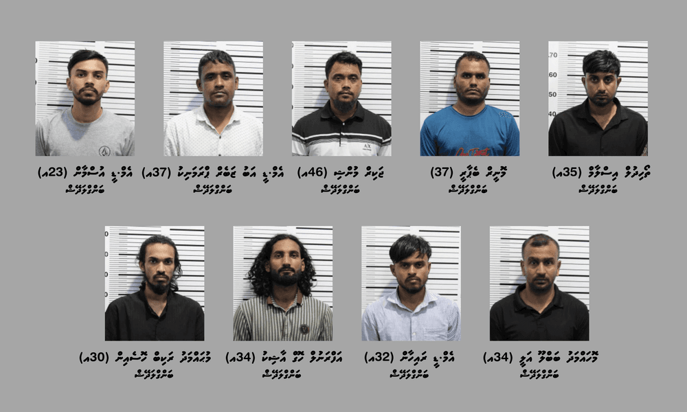 މަސްތުވާތަކެތި ވިއްކައި ވިޔަފާރިކުރާކަމުގެ ތުހުމަތުގައި މާލެއިން ނުވަމީހުން ހައްޔަރުކޮށްފި